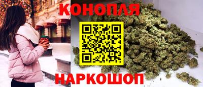 индика Кингисепп
