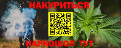 индика Кингисепп