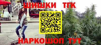 индика Кингисепп