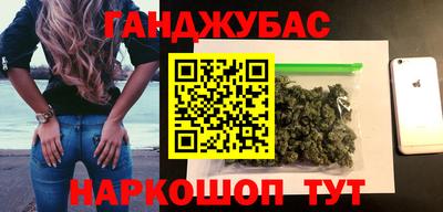 индика Кингисепп