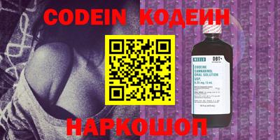 индика Кингисепп