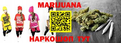 индика Кингисепп
