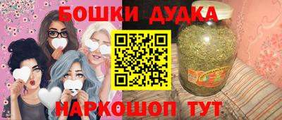 индика Кингисепп