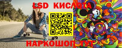 индика Кингисепп