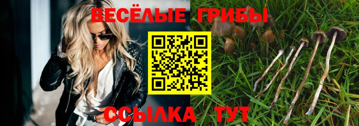 Псилоцибиновые грибы Psilocybine cubensis  Вход с VPN  Зеленогорск 