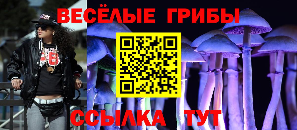 Псилоцибиновые грибы прущие грибы Зеленогорск